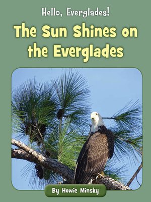 cover image of The Sun Shines on the Everglades